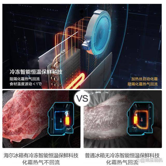 FD1BWLU1：国补1240元超薄多门冰箱k8凯发海尔山茶花系列BCD-485WGH(图4)