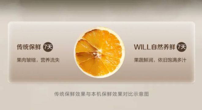 箱如何打破存量市场 “天花板”凯发k8登录一路狂飙看容声冰(图8)