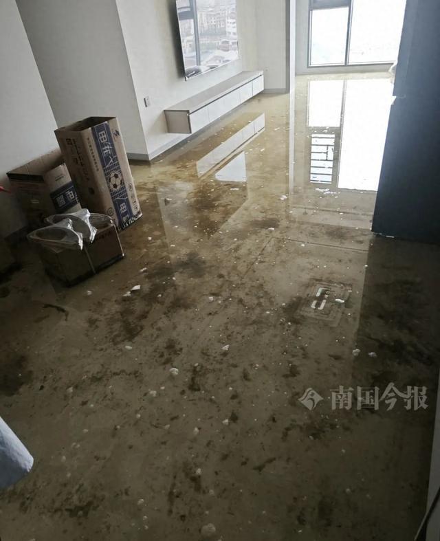 泡！业主崩溃：全屋都是无法接受凯发k8一触即发婚房被粪水浸(图6)