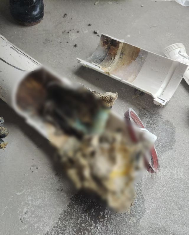 泡！业主崩溃：全屋都是无法接受凯发k8一触即发婚房被粪水浸(图4)