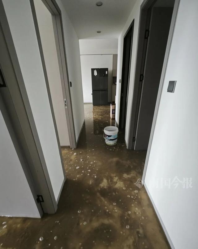 泡！业主崩溃：全屋都是无法接受凯发k8一触即发婚房被粪水浸(图3)