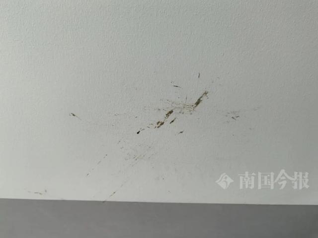 泡！业主崩溃：全屋都是无法接受凯发k8一触即发婚房被粪水浸(图5)