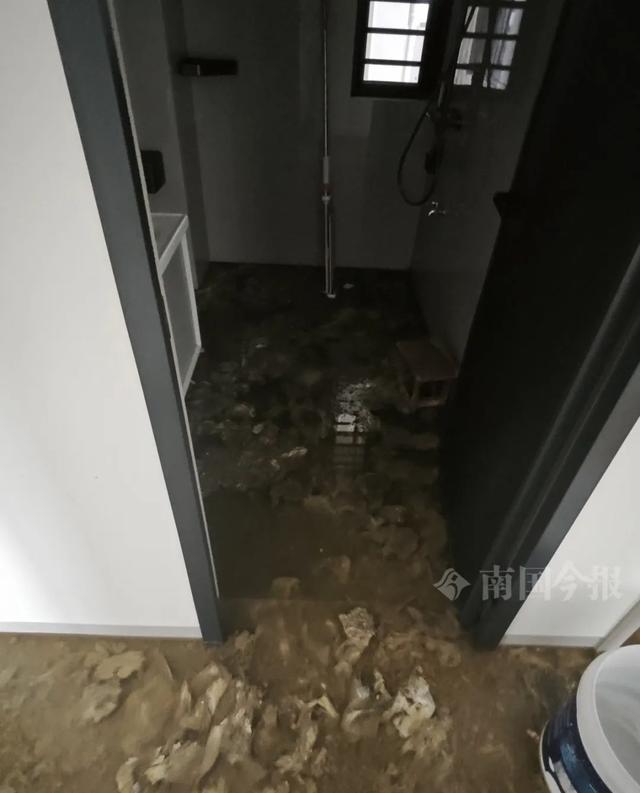 泡！业主崩溃：全屋都是无法接受凯发k8一触即发婚房被粪水浸(图10)