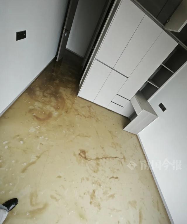 泡！业主崩溃：全屋都是无法接受凯发k8一触即发婚房被粪水浸(图9)